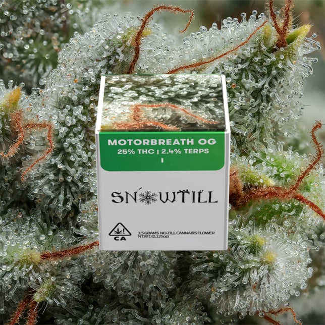 Motorbreath OG - Image 1 Motorbreath OG - Image 1