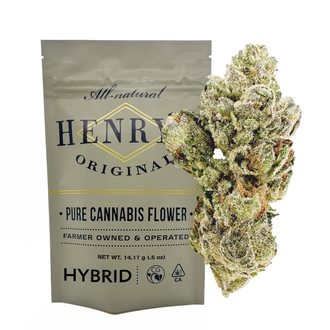 Super Glue - Image 2 Super Glue - Image 2