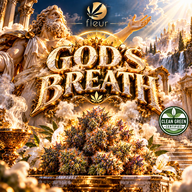 God's Breath - Image 2