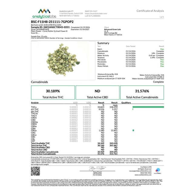 Rythm - B Scout (I) Smalls  C0010001240 - Image 4