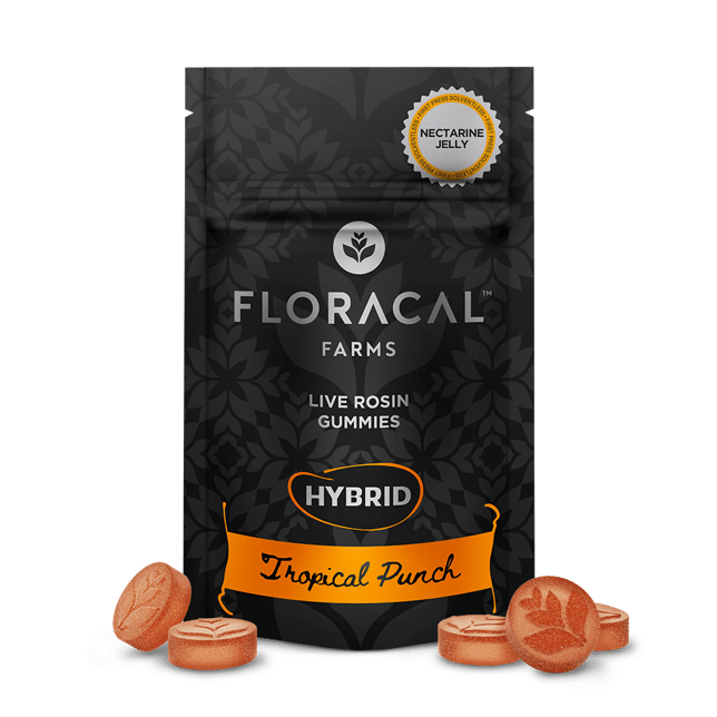Live Rosin Gummies - Tropical Punch [10pk] (100mg) - Image 2