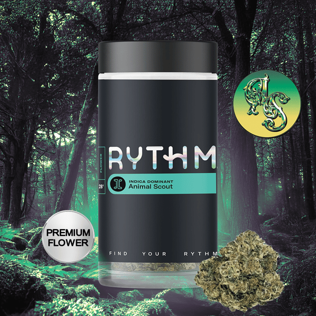 Animal Scout - Image 6