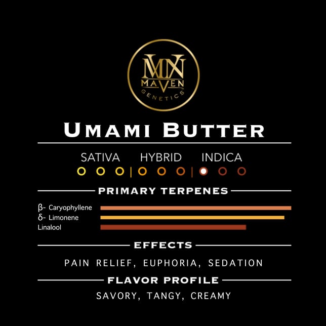 Umami Butter Pre-Roll 5-Pack [2.5g] - Image 7