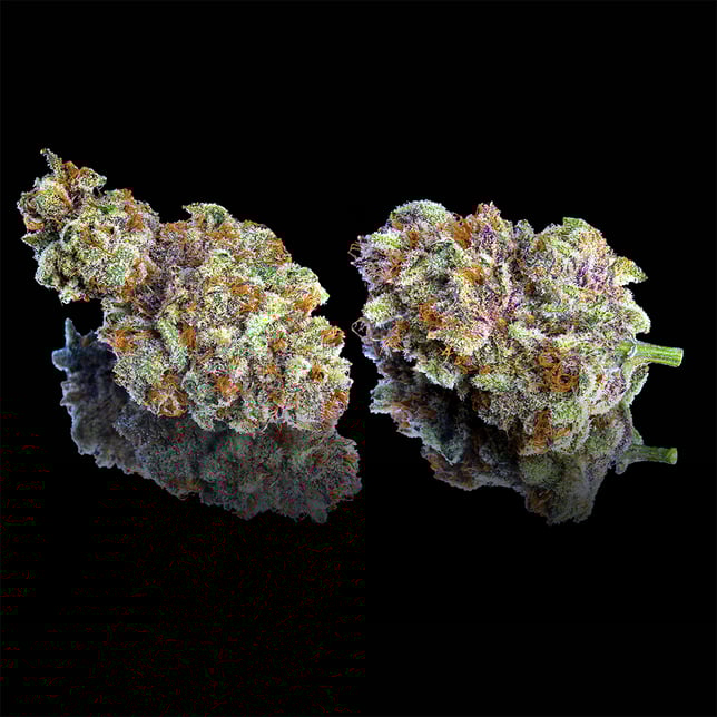 ZuZu Berry - Image 3