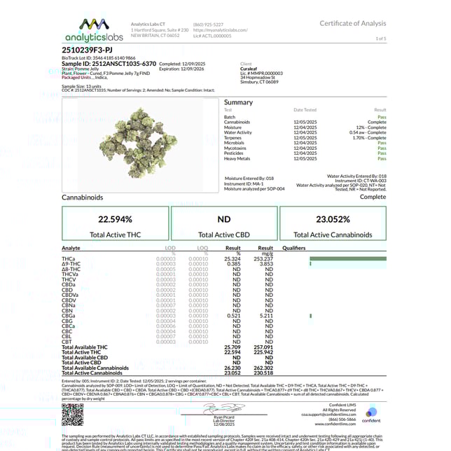 Find - Kandi Jam (S) Flower  C0030001305 - Image 2
