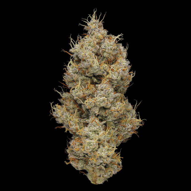 Funkadelic [1000mg] - Image 3