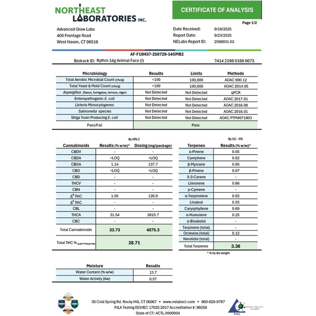 Rythm - Animal Face (I) Flower C0010000946 - Image 4 Rythm - Animal Face (I) Flower C0010000946 - Image 4