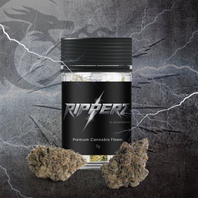 Zkywalker - Image 1 Zkywalker - Image 1