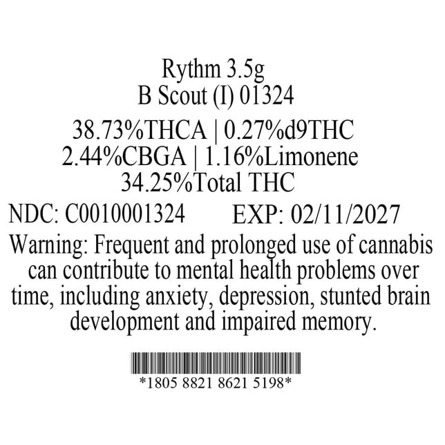 Rythm - B Scout (I) Flower C0010001324 - Image 2 Rythm - B Scout (I) Flower C0010001324 - Image 2