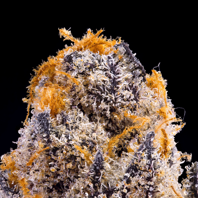 Blue Agapē Pre-Roll 5-Pack [2.5g] - Image 4