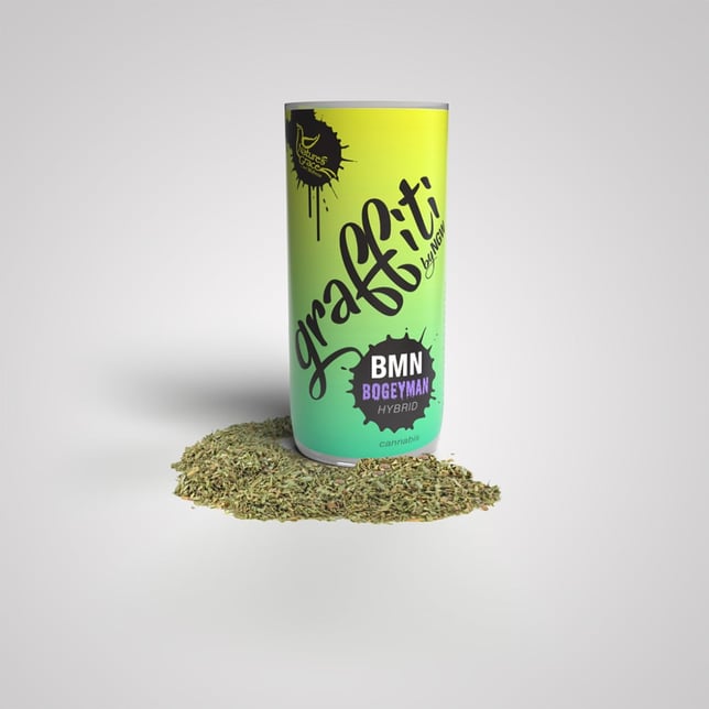GMO Z - Image 2