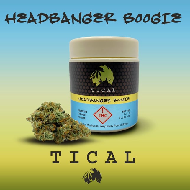 Headbanger Boogie - Image 1 Headbanger Boogie - Image 1