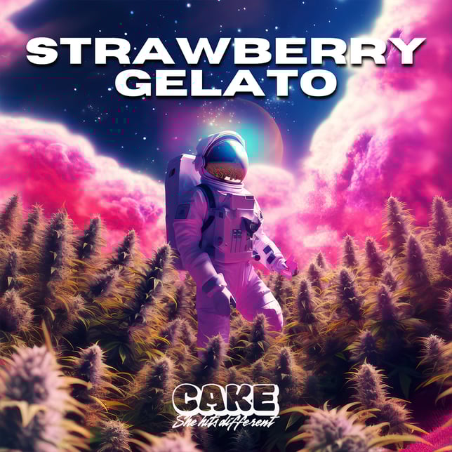 Strawberry Gelato [1250mg] - Image 4