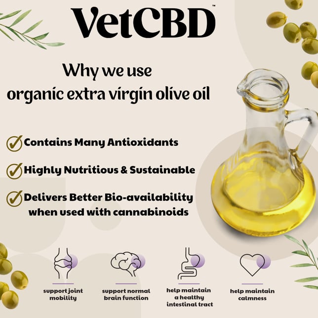 20:1 CBD Tincture [2oz] (250mg CBD/12.5mg THC) - Image 2