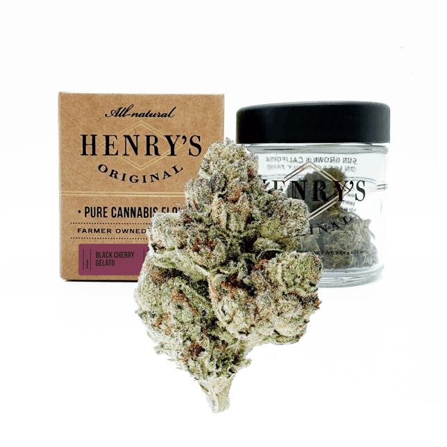 Black Cherry Gelato - Image 1 Black Cherry Gelato - Image 1