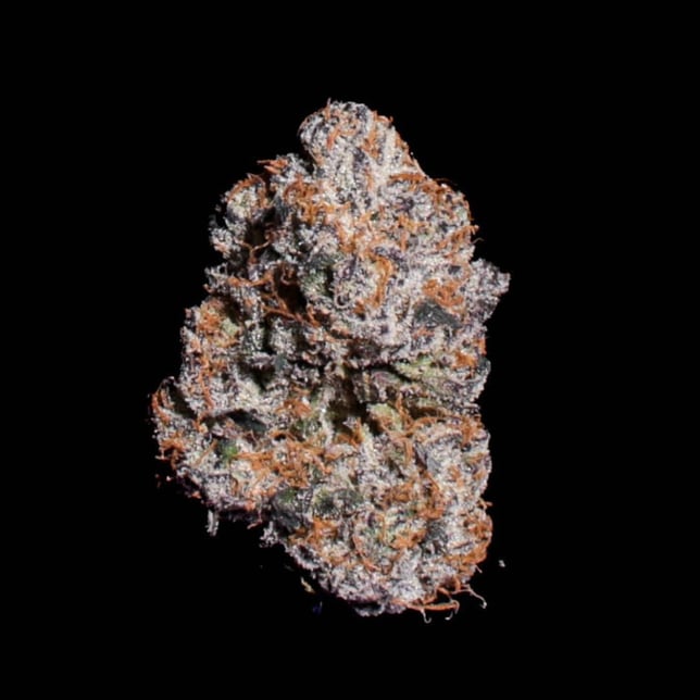 O-Dog [4g] - Image 3
