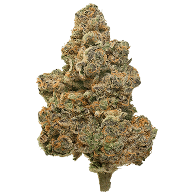 London Pound Mints - Image 2