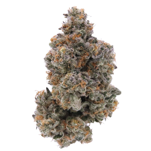 Golden Pear - Image 2