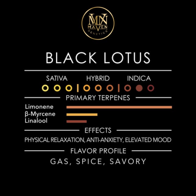 Black Lotus [3.5g] - Image 12