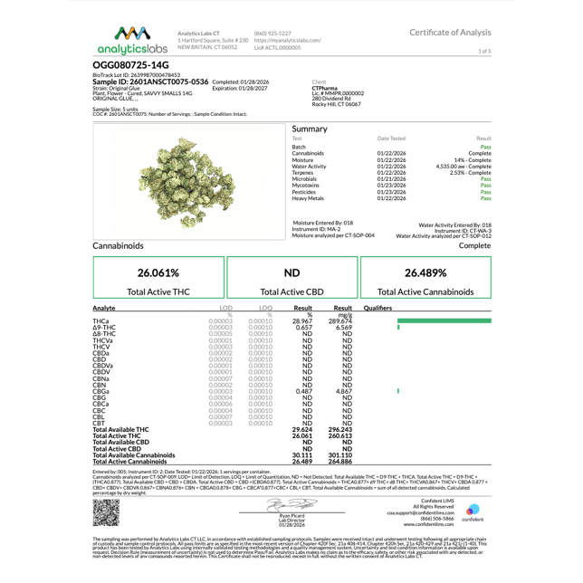 Savvy - Original Glue (I) Smalls C0020026794 - Image 3 Savvy - Original Glue (I) Smalls C0020026794 - Image 3