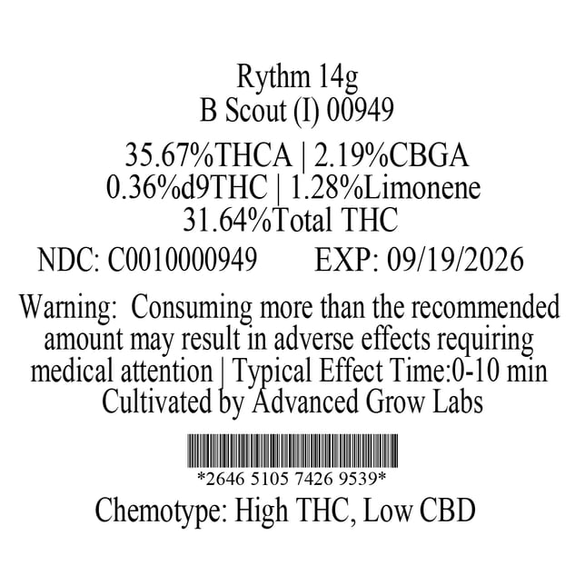 Rythm - B Scout (I) Flower  C0010000949 - Image 3