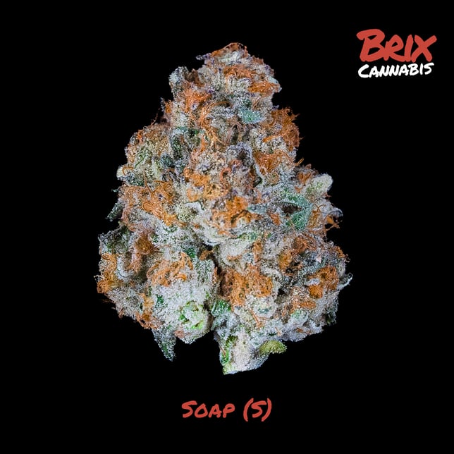 Shop BRIX Cannabis - Soap (S) Flower C0101000249 | Fine Fettle