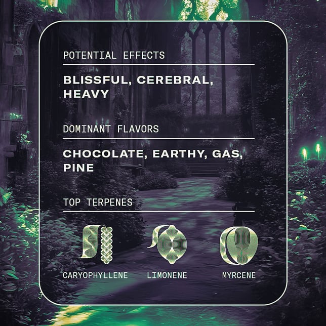 Animal Scout - Image 5