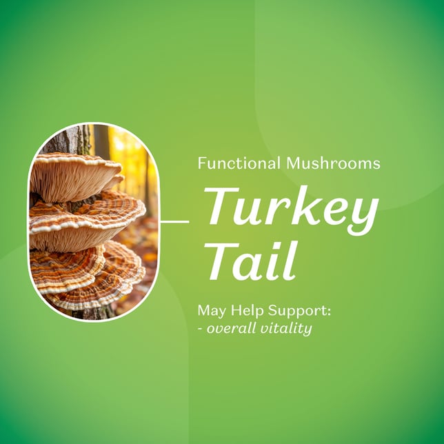 *Wonder | Recover 1:1 Lemon Lime Gummies [20pk] (100mg THC/100mg THCv) - Image 3