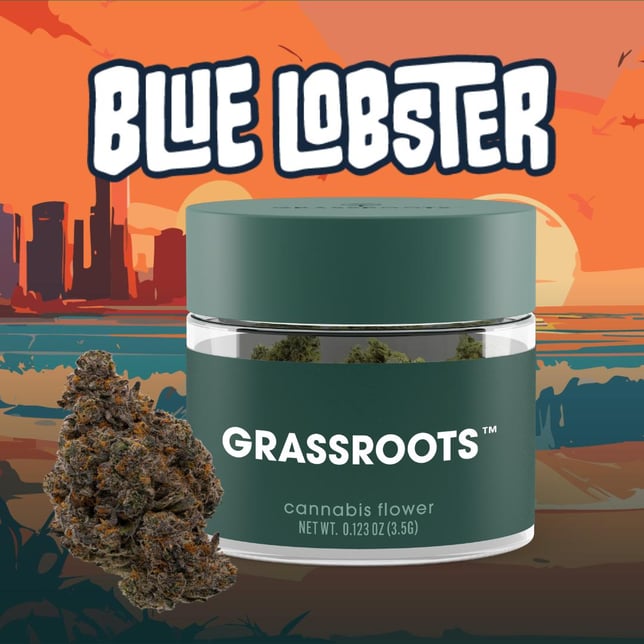 Blue Lobster - Image 2