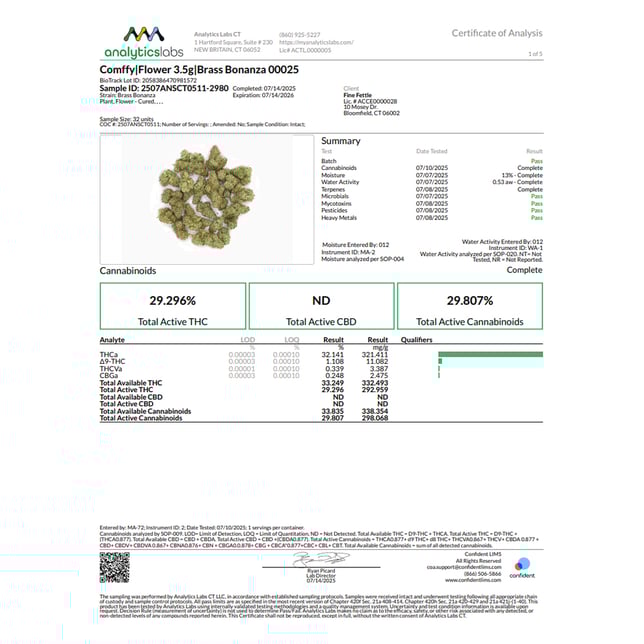 Comffy - Brass Bonanza (S) Flower  C0140000025 - Image 3