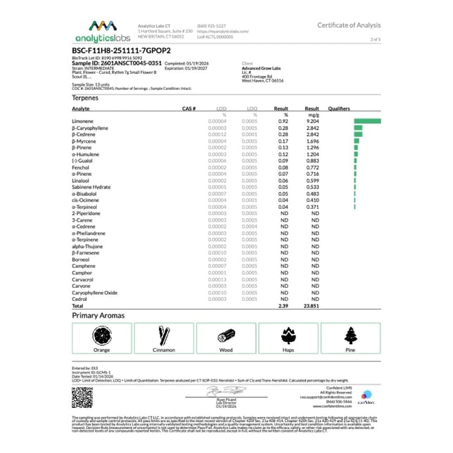 Rythm - B Scout (I) Smalls  C0010001240 - Image 5