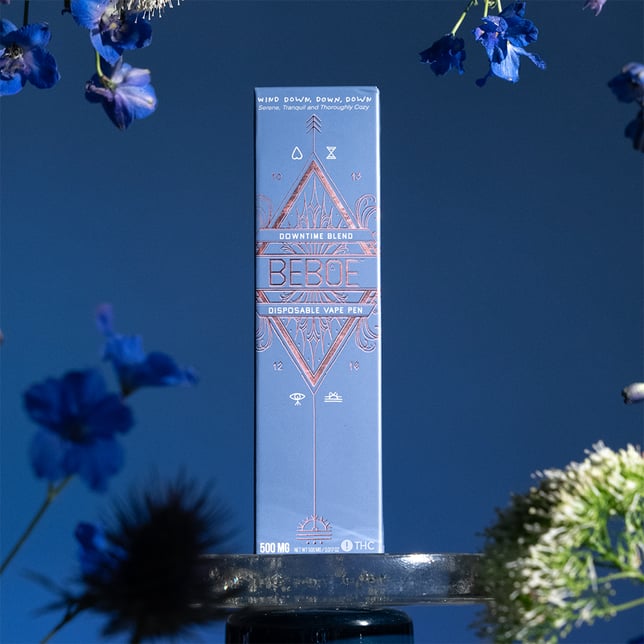 Downtime Blueberry [500mg] - Image 2