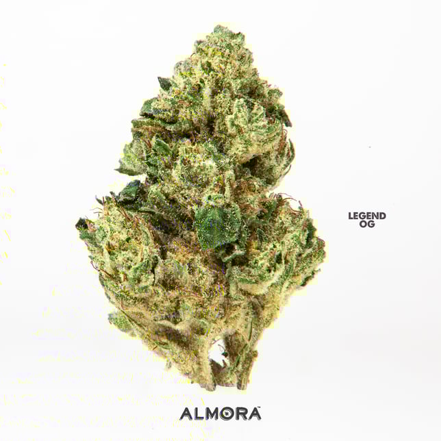 Ridgelion - Image 2 Ridgelion - Image 2