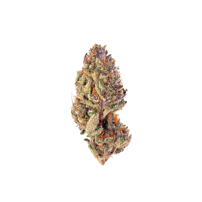 Animal Cookies - Image 1 Animal Cookies - Image 1