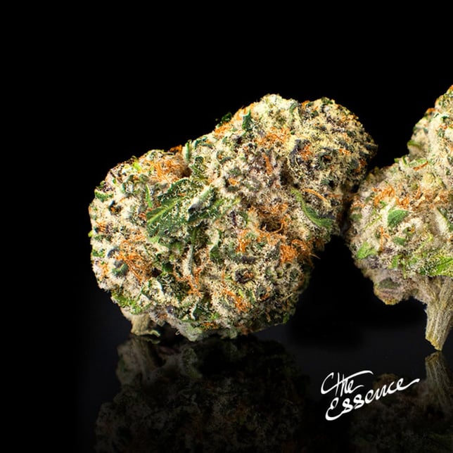 Grape Bubblegum - Image 2