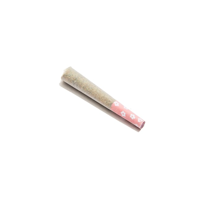 Dusky Rose [.5g] - Image 3