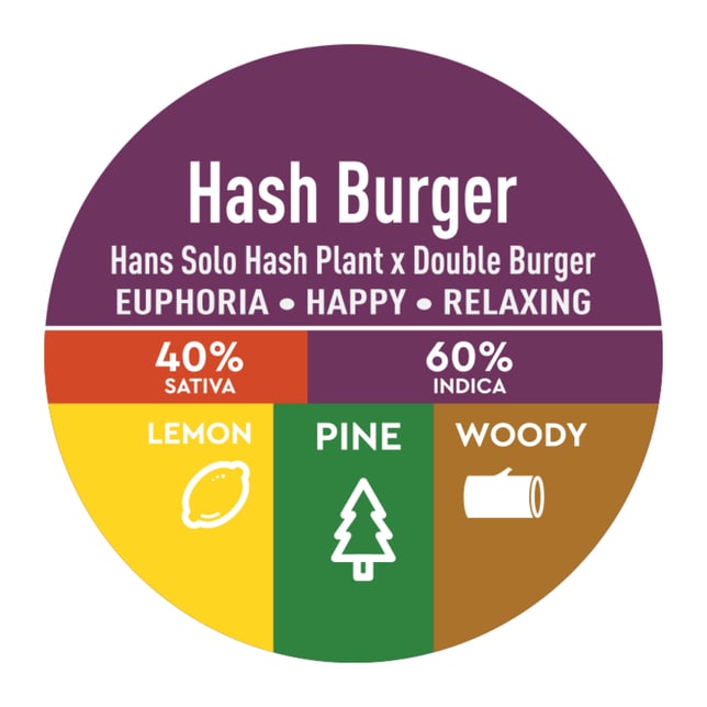 Hash Burger - Image 2