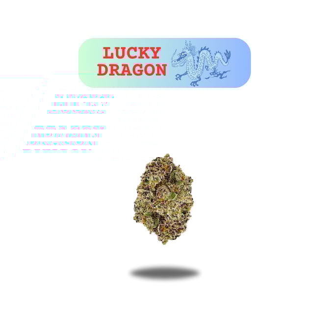 Lucky Dragon - Image 2 Lucky Dragon - Image 2