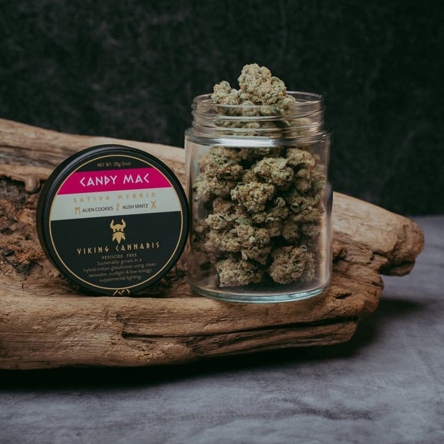 Candy Mac - Image 1 Candy Mac - Image 1