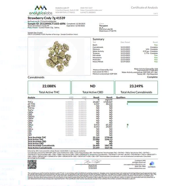 Theraplant - Strawberry Cndy (S) Flower  C0040001539 - Image 3