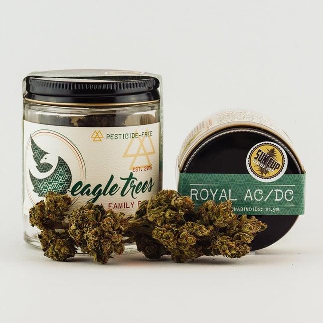 Royal ACDC - Image 2