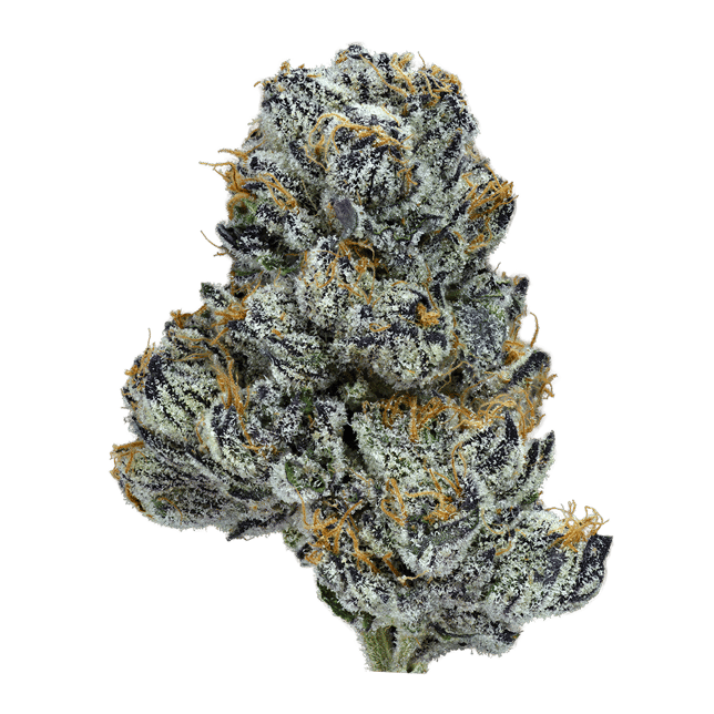 Violet Dreams - Image 2