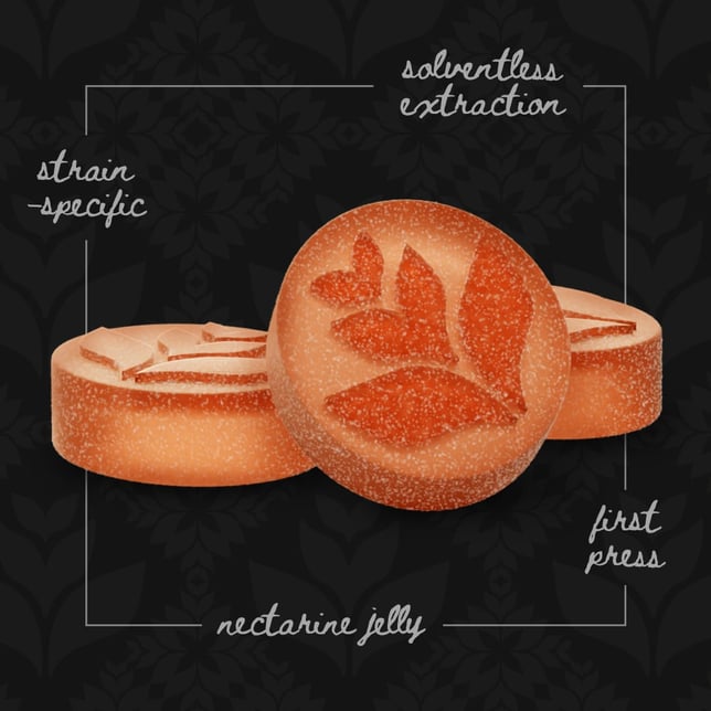 Live Rosin Gummies - Tropical Punch [10pk] (100mg) - Image 3
