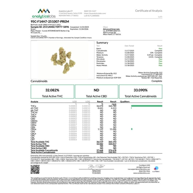 Rythm - 95 Cook (H) Flower C0010001108 - Image 4 Rythm - 95 Cook (H) Flower C0010001108 - Image 4