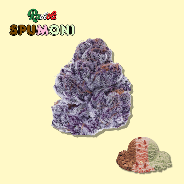 Spumoni - Image 2