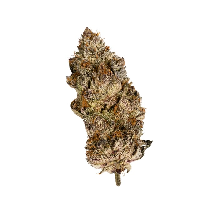 Acai Gelato x Sherb - Image 1