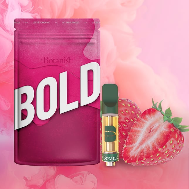 BOLD Strawberry - Image 2
