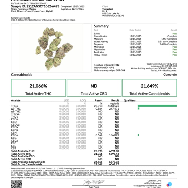 Theraplant - Permanent Marker (H) Flower  C0040001481 - Image 2