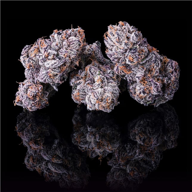 New Money Goldies Infused Pre-Rolls 5-Pack (3g) - Image 6 New Money Goldies Infused Pre-Rolls 5-Pack (3g) - Image 6