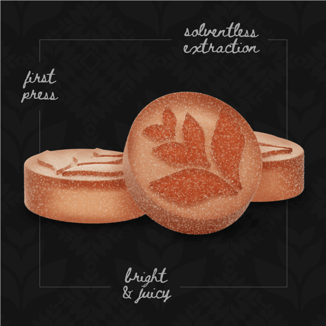 Live Rosin Gummies - Tropical Punch [10pk] (100mg) - Image 2